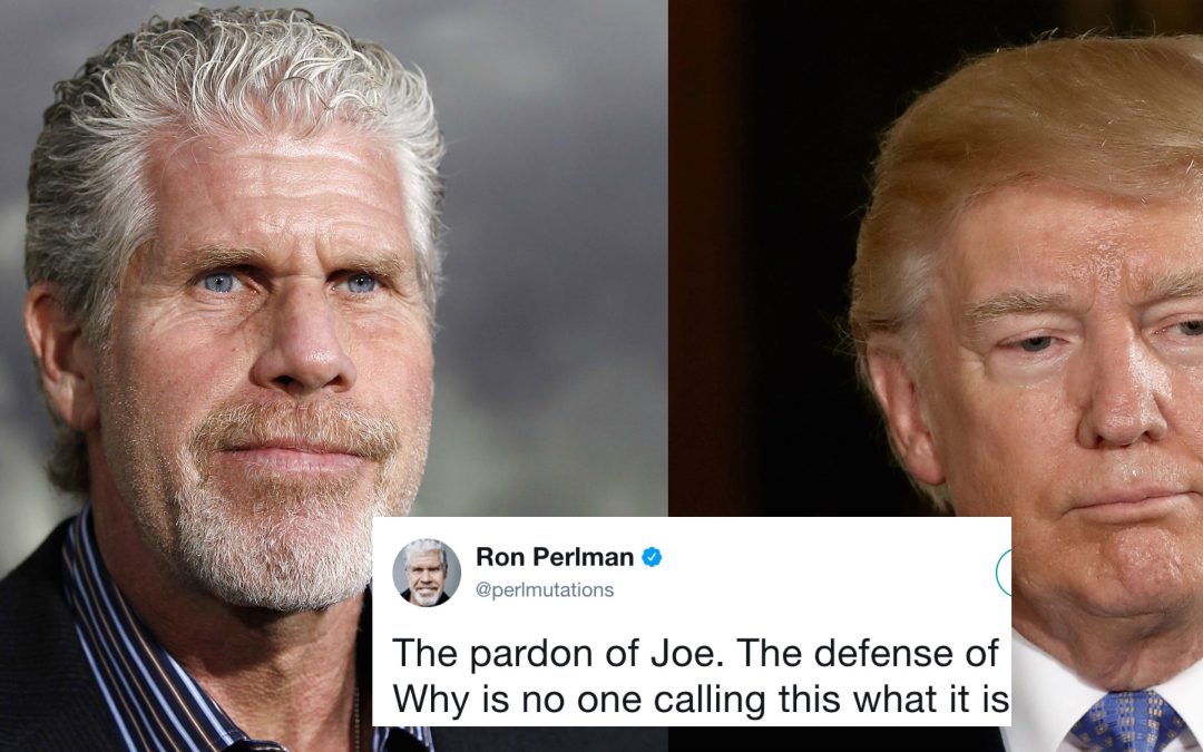 Star Ron Perlman Just Noticed Something About Trump’s Arpaio Pardon You Might Have Missed out on
