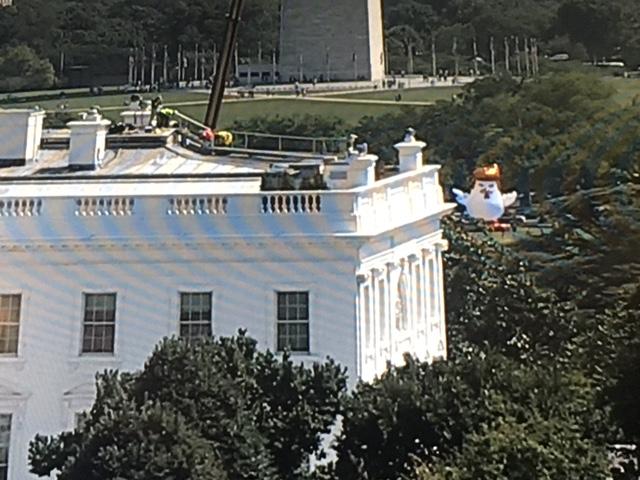 Massive, inflatable chicken with orange hair is looking down the White Home