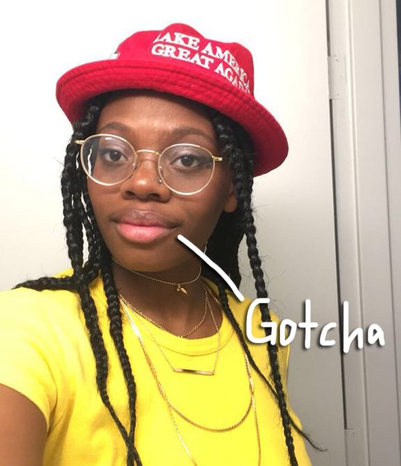 Woman Scams MAGA Twitter By Pretending To Be A Struggling Black Trump Supporter! – Perez Hilton